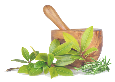 Sklep zielarski Ale Zioło - ziołolecznictwo