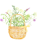 Sklep z ziołami - Ale Zioło